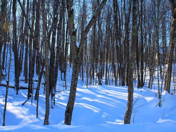 Property Photo:  Outlot 3 Skye Dr  WI 54565 