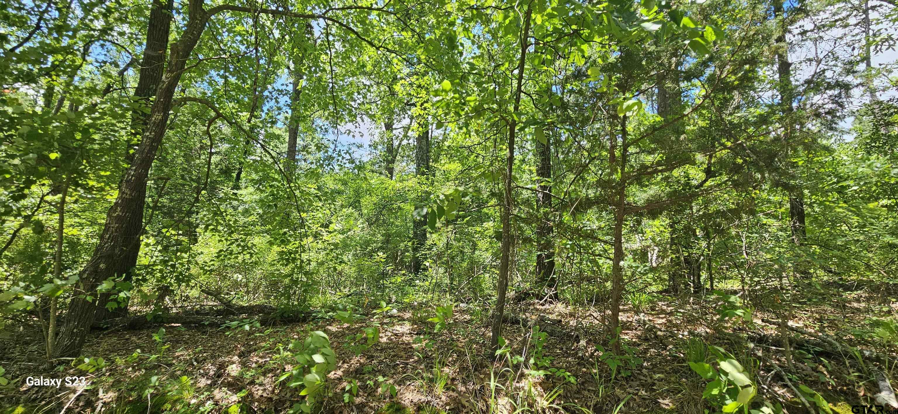 Property Photo: Tbd Cr 2290 TX 75773