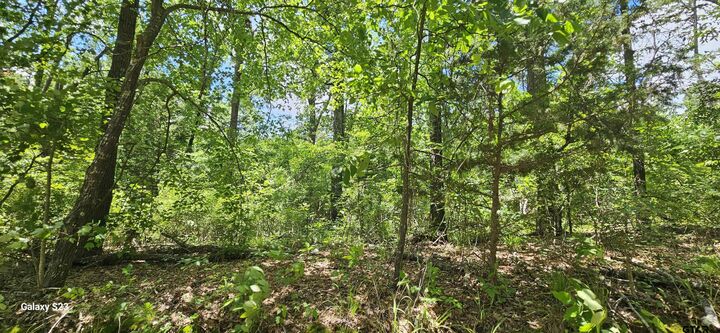 Property Photo: Tbd Cr 2290 TX 75773