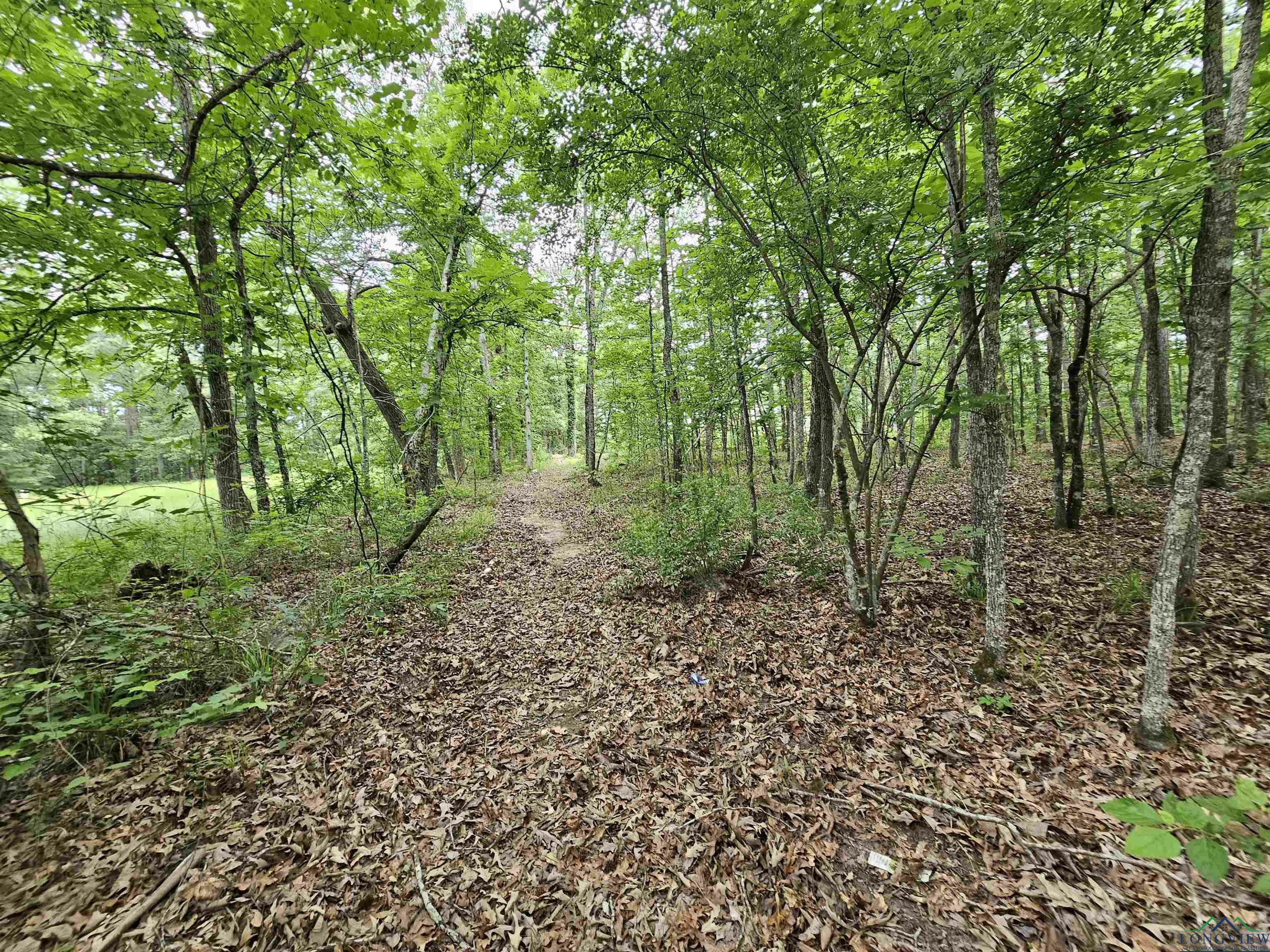 Property Photo: 811 Hallsville Heights TX 75702