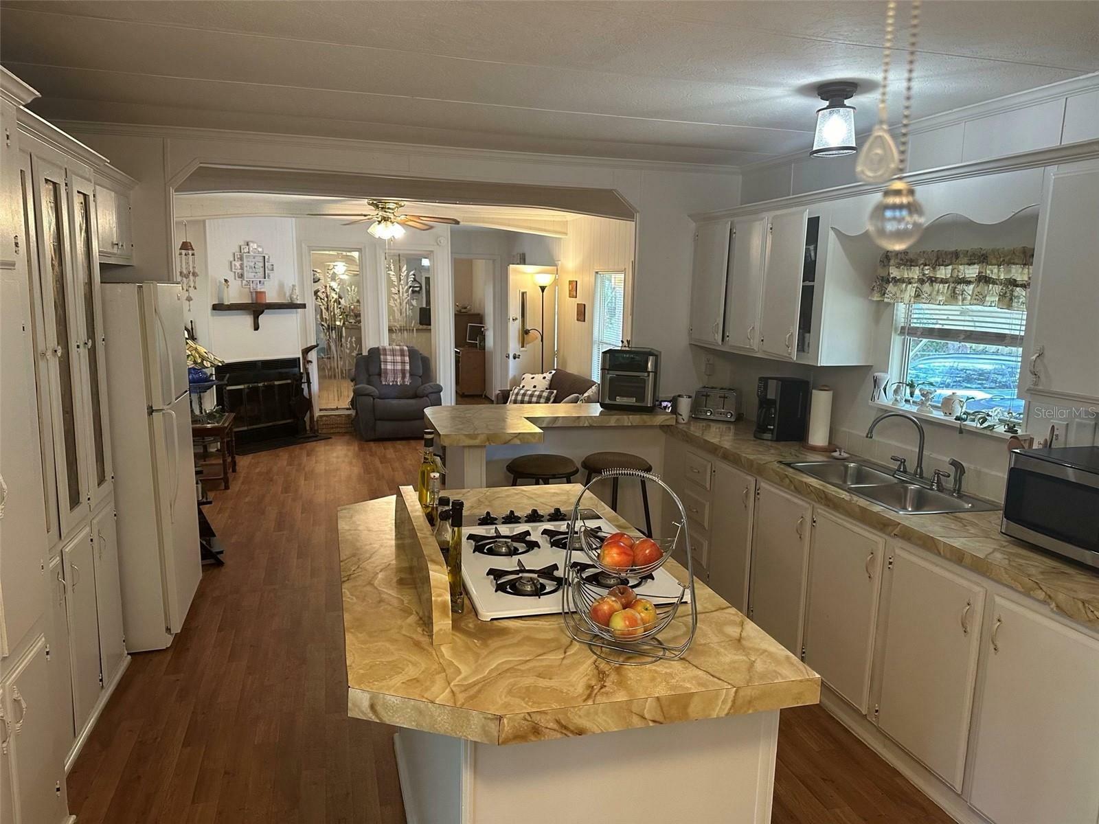 Property Photo: 3816 Cr 405C FL 33538