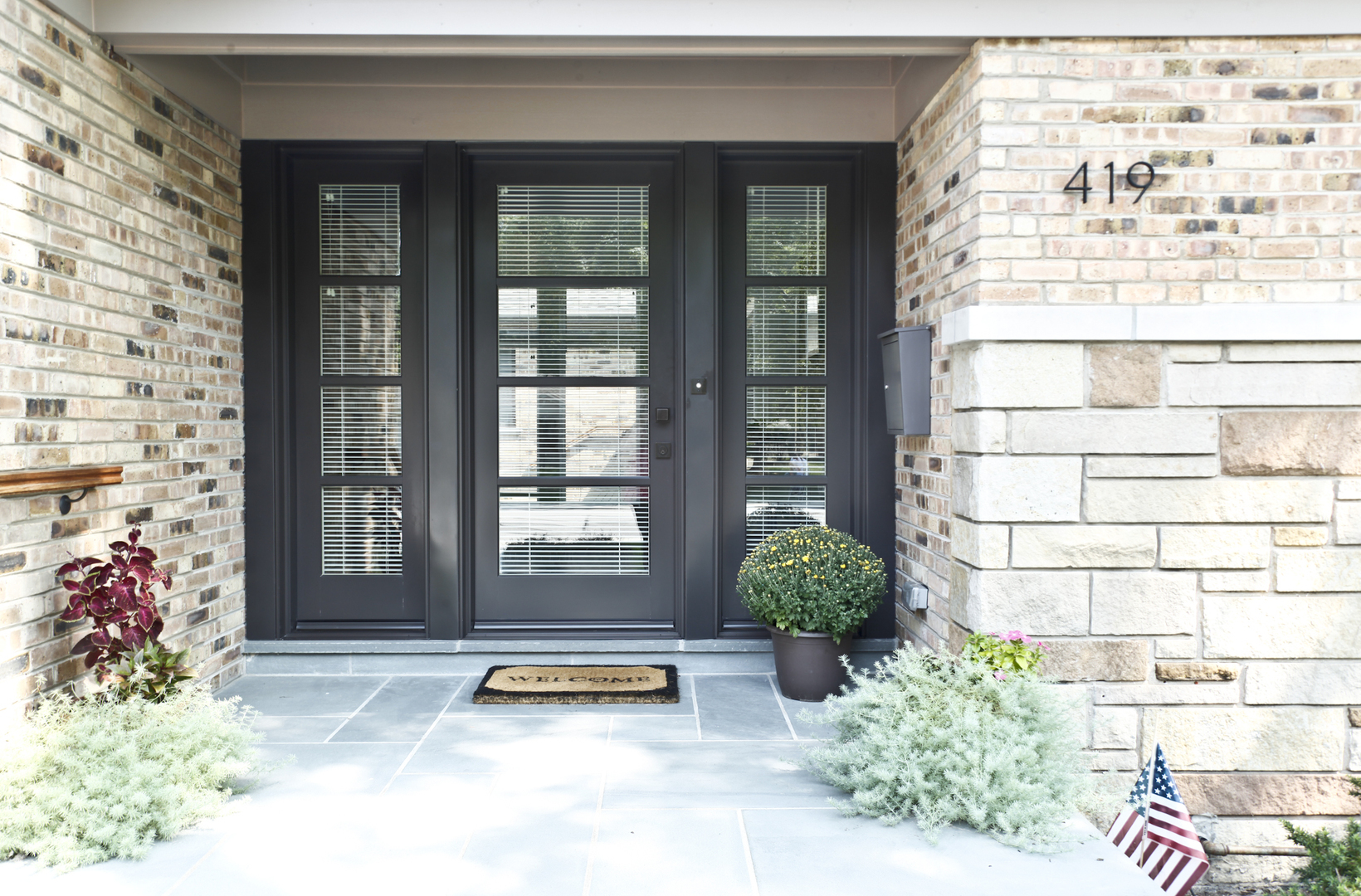 Property Photo: 419 N Lincoln Lane IL 60004