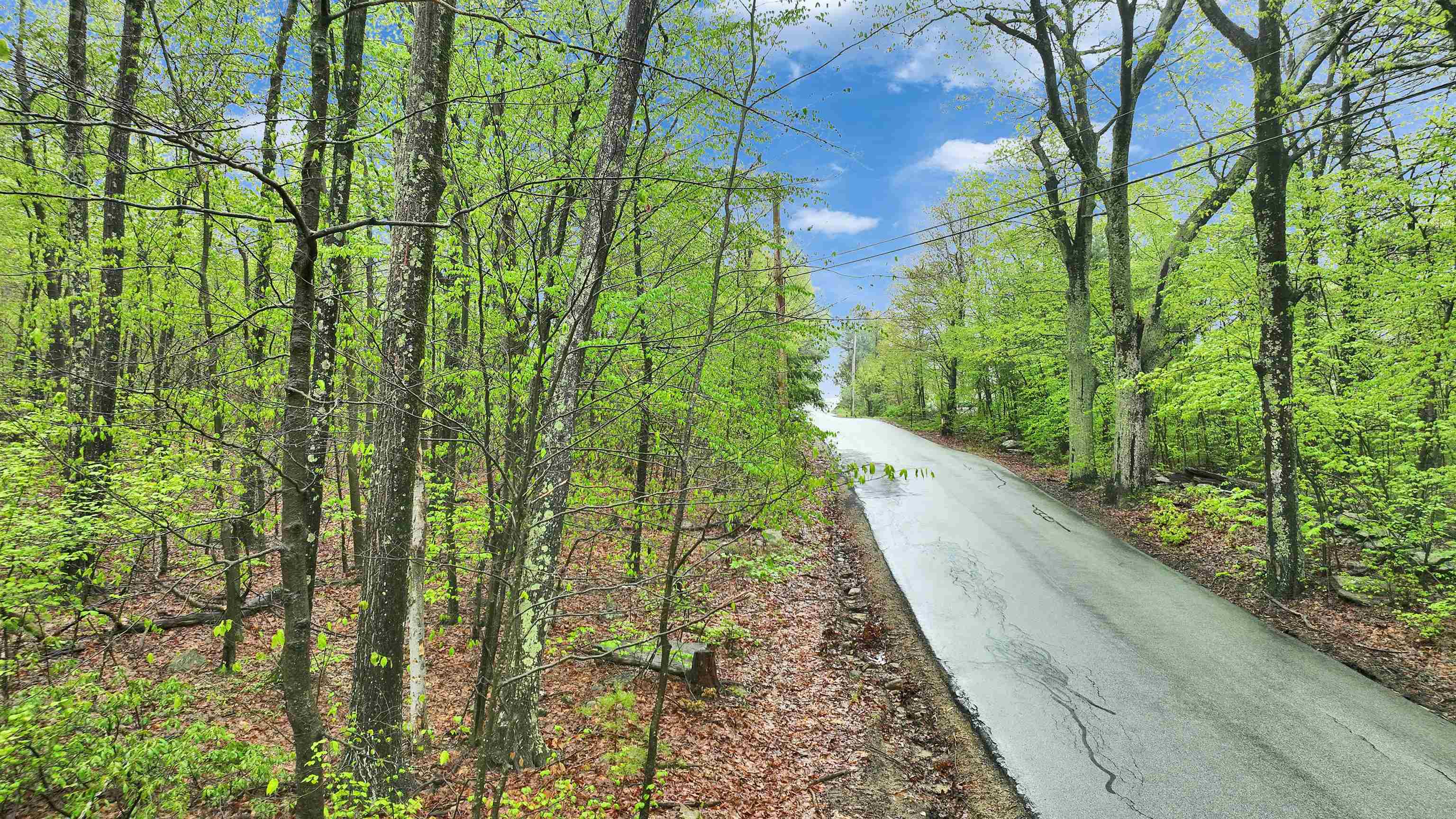 Property Photo: 00 Barrett Road NH 03048