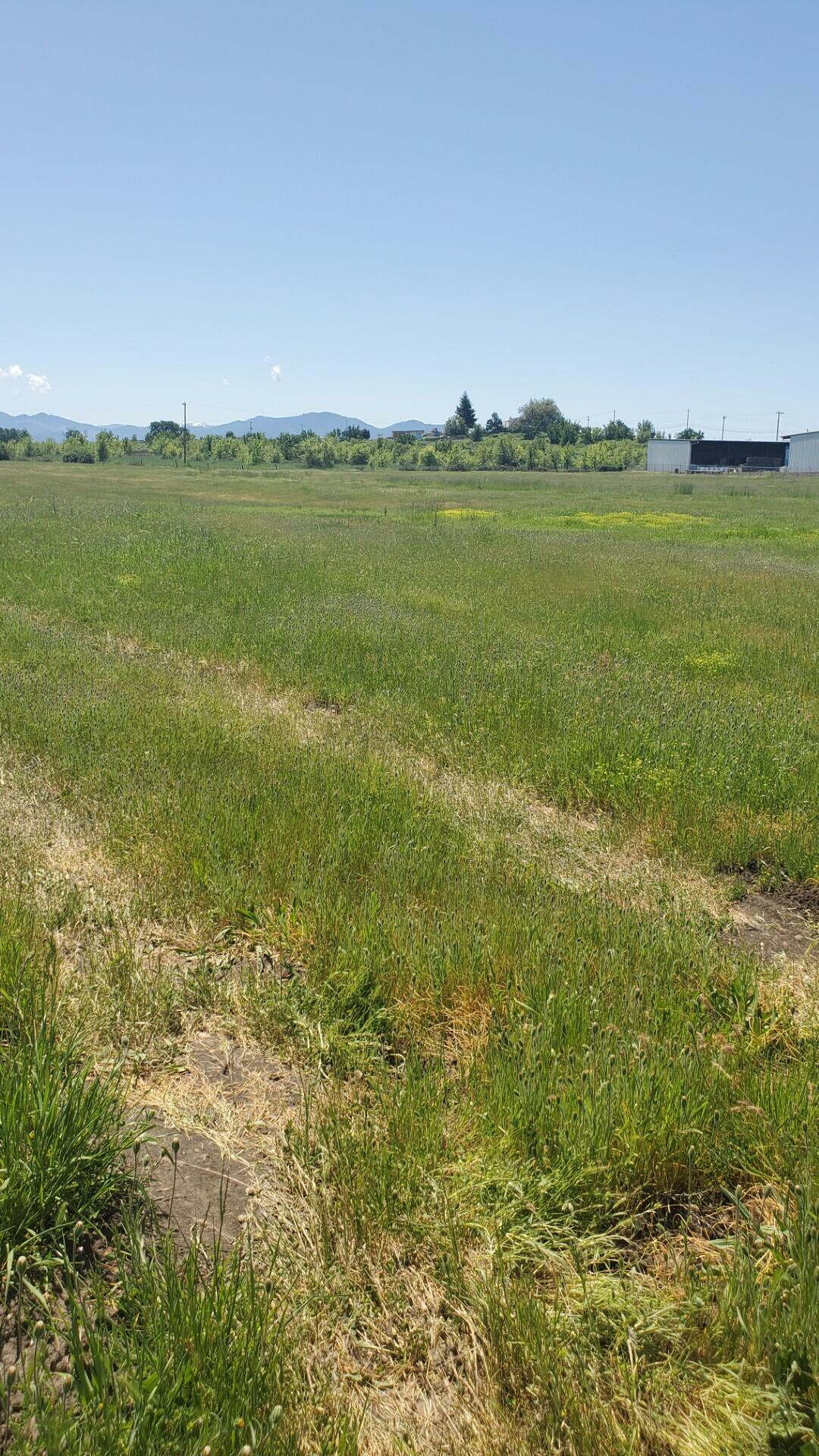 Property Photo: 1816 E Vilas Road OR 97502