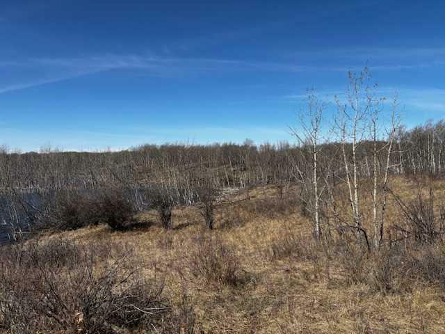 Property Photo: 23425 Highway 590 AB T0M 0Y0