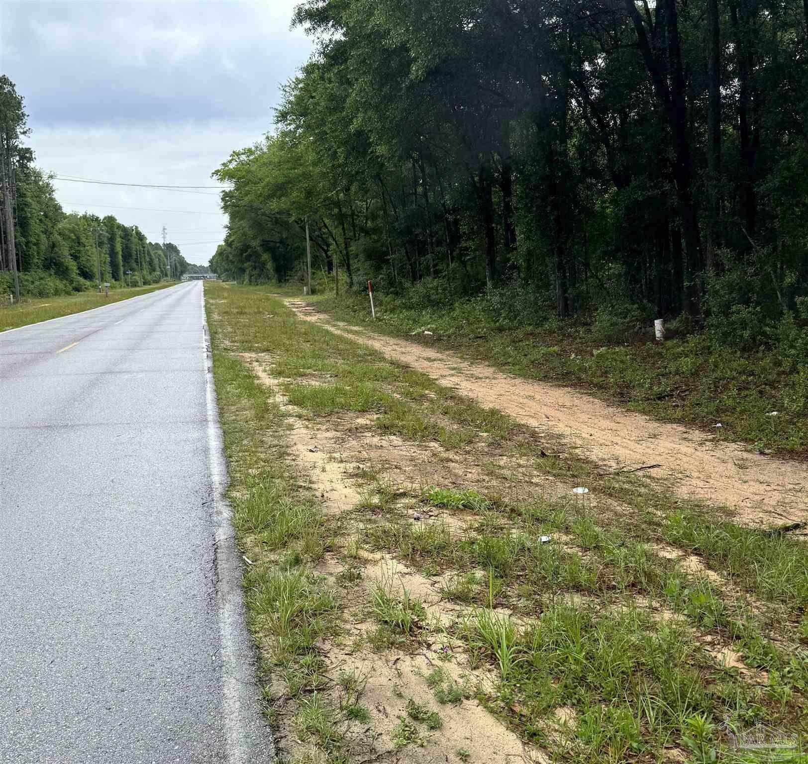 Property Photo: Lot 42 Log Lake Rd FL 32564