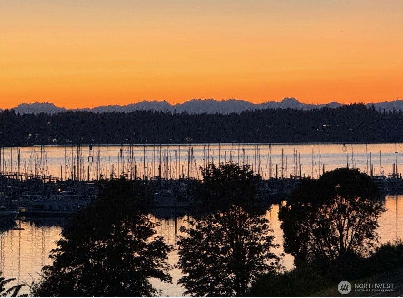 Property Photo:  920  East Bay Drive NE 3C202  WA 98506 