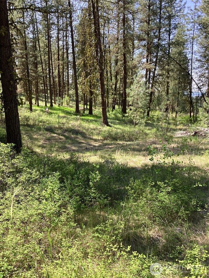 19  Lot, Doe Lane  Tonasket WA 98855 photo