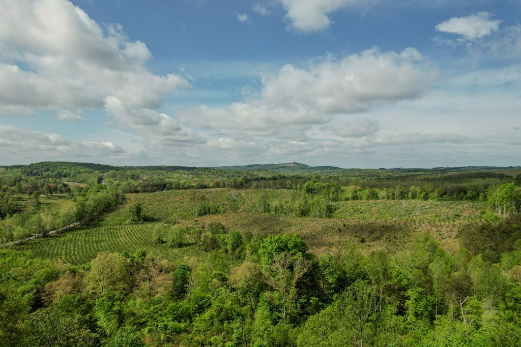 Property Photo: 00 James River/Oakville Rd VA 24553