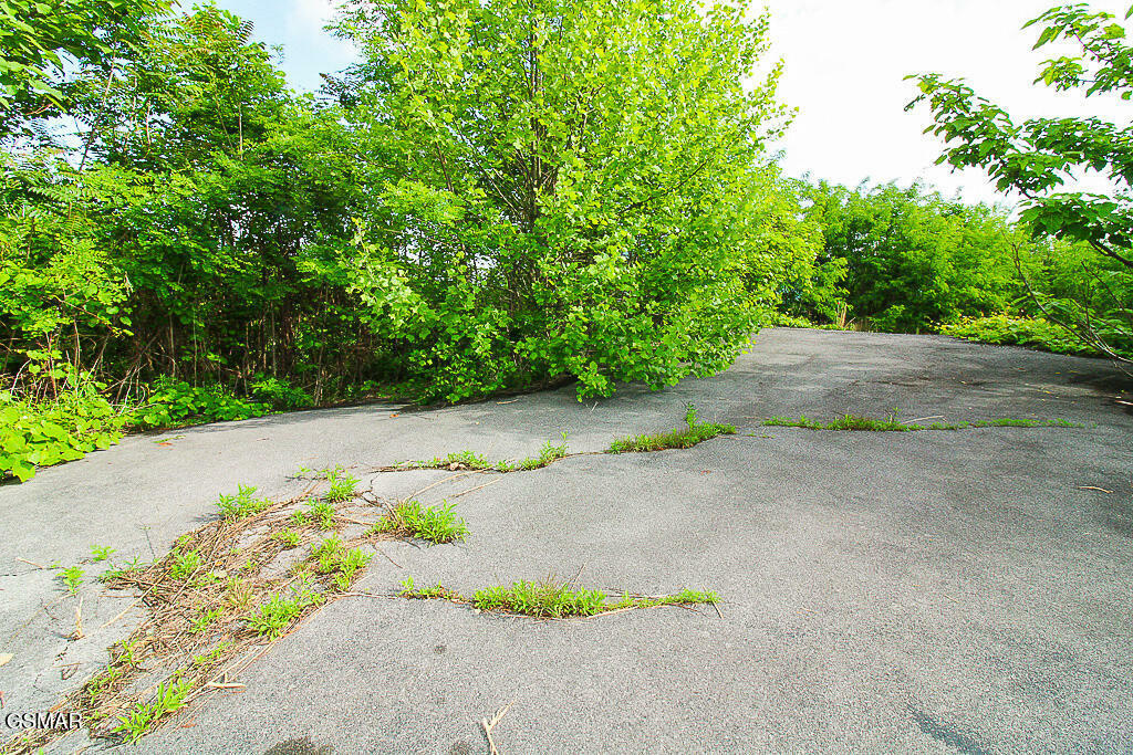 Property Photo: 730 Wiley Oakley Drive TN 37738