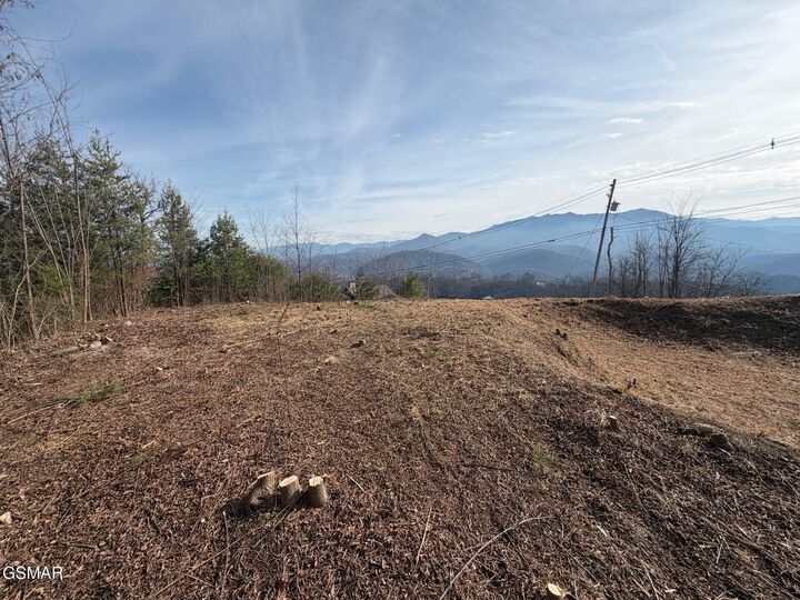 Property Photo: 730 Wiley Oakley Drive TN 37738