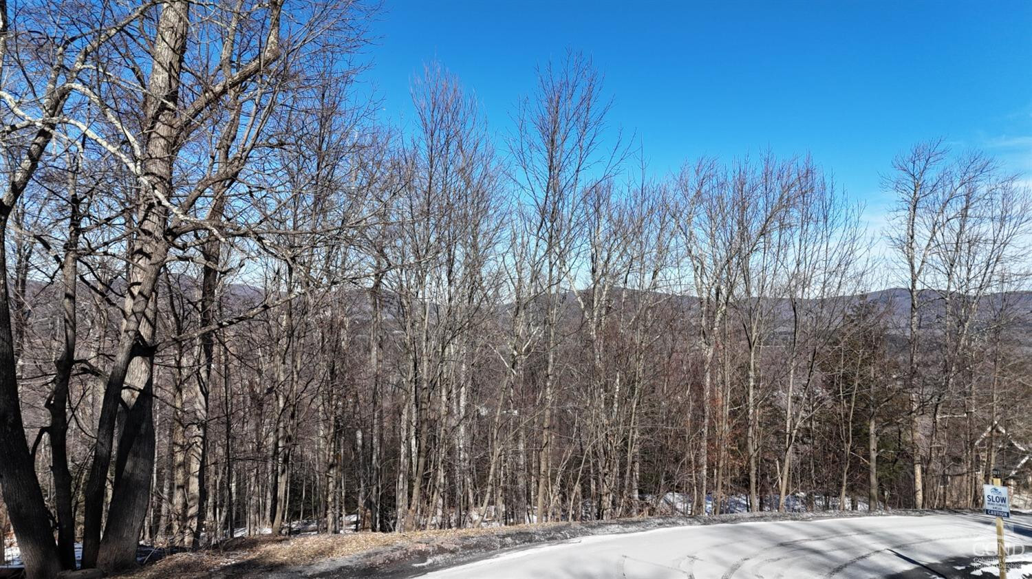 Property Photo:  0 Club Road  NY 12496 