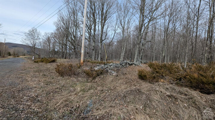 Property Photo:  75 Windy Lane  NY 12444 