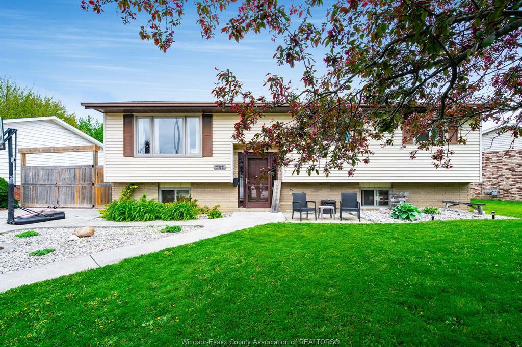 141 Hill Street  Cottam ON N0R 1B0 photo