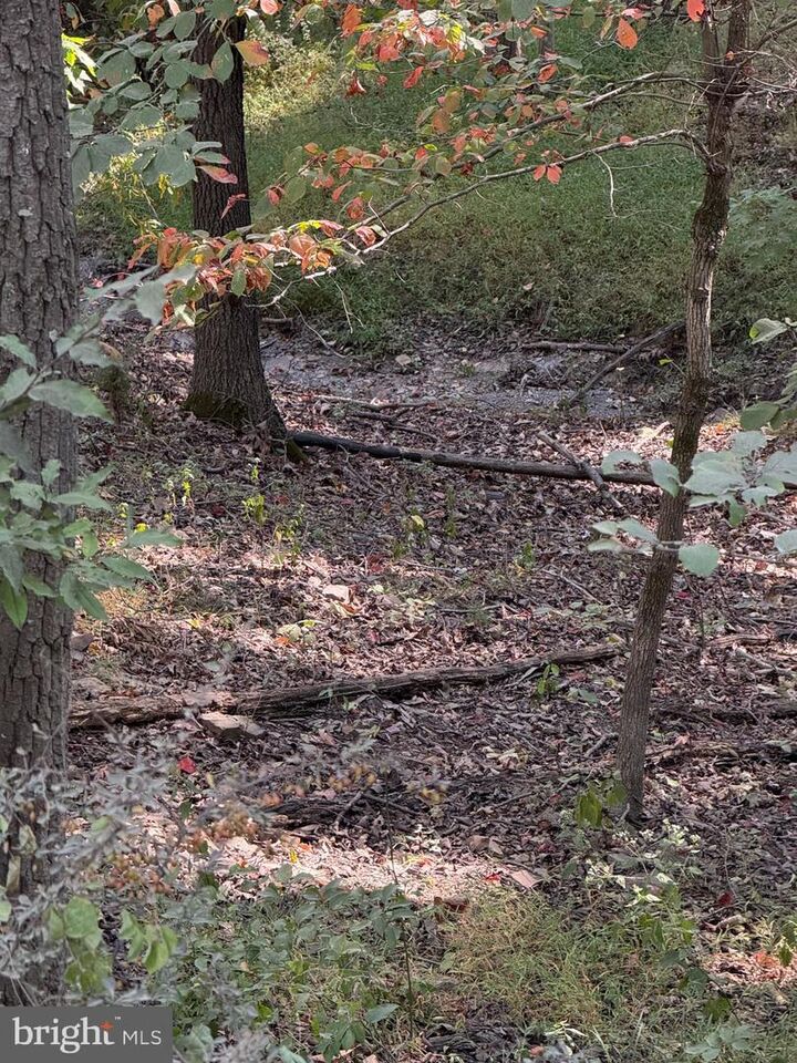 Property Photo:  Light Road  VA 22603 
