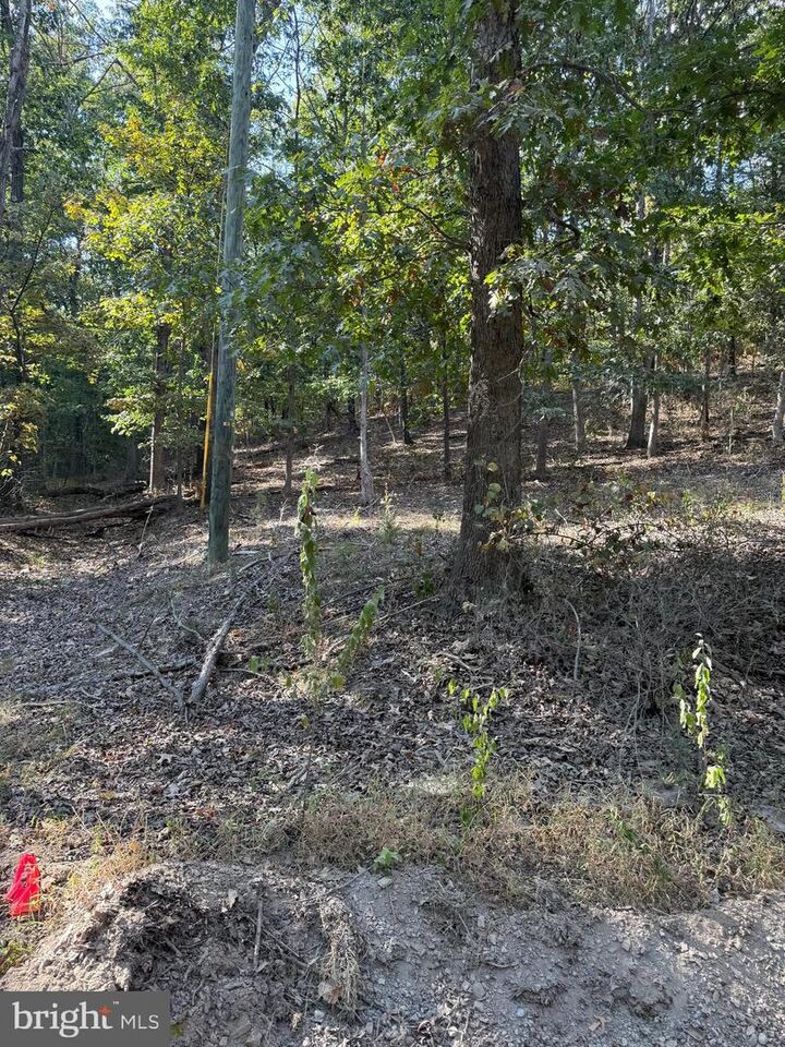 Property Photo: Light Road VA 22603