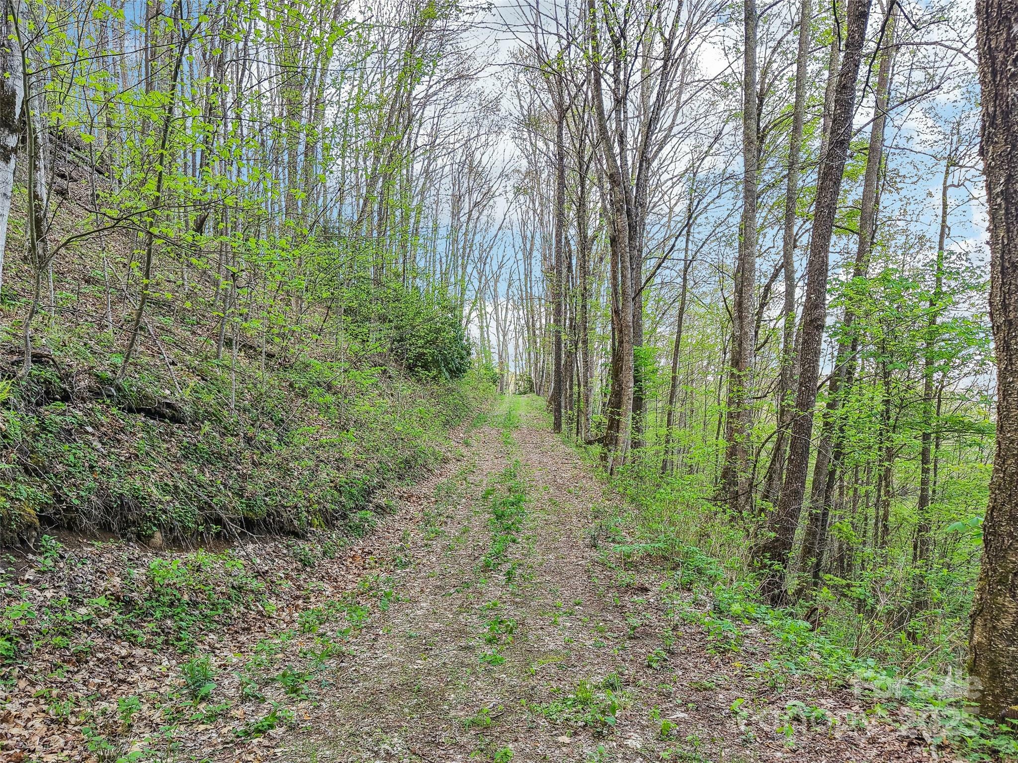 Property Photo: 0 Star Crest Drive NC 28785