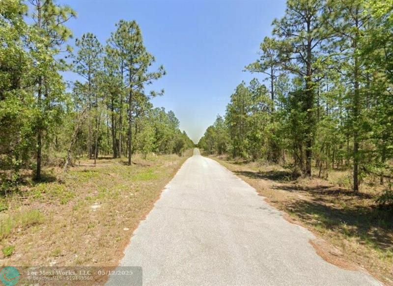 Property Photo:  Lot 13 NW Hemlock Ave  FL 34431 