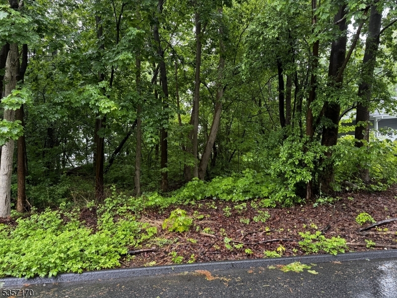 Property Photo:  0 Walnut Street  NJ 07438 