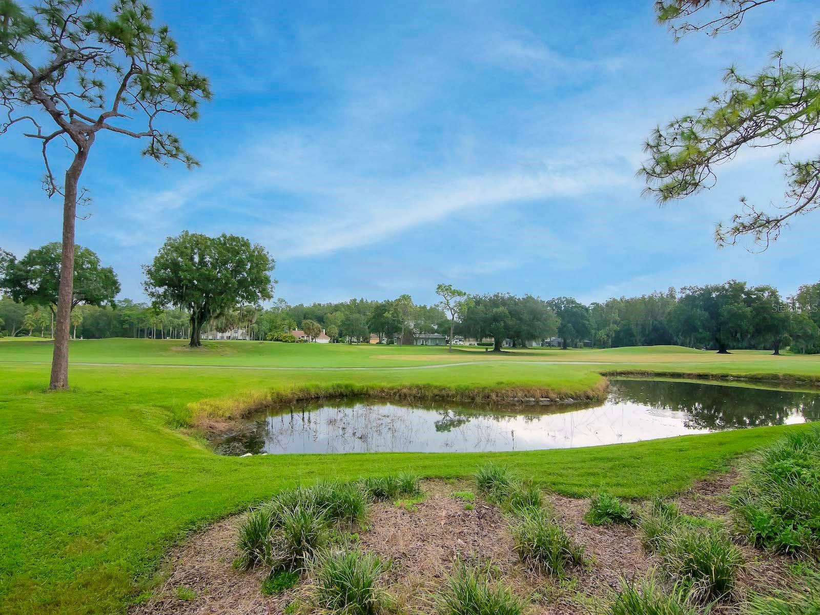 Property Photo: 29147 Bay Hollow Drive 3217 FL 33543