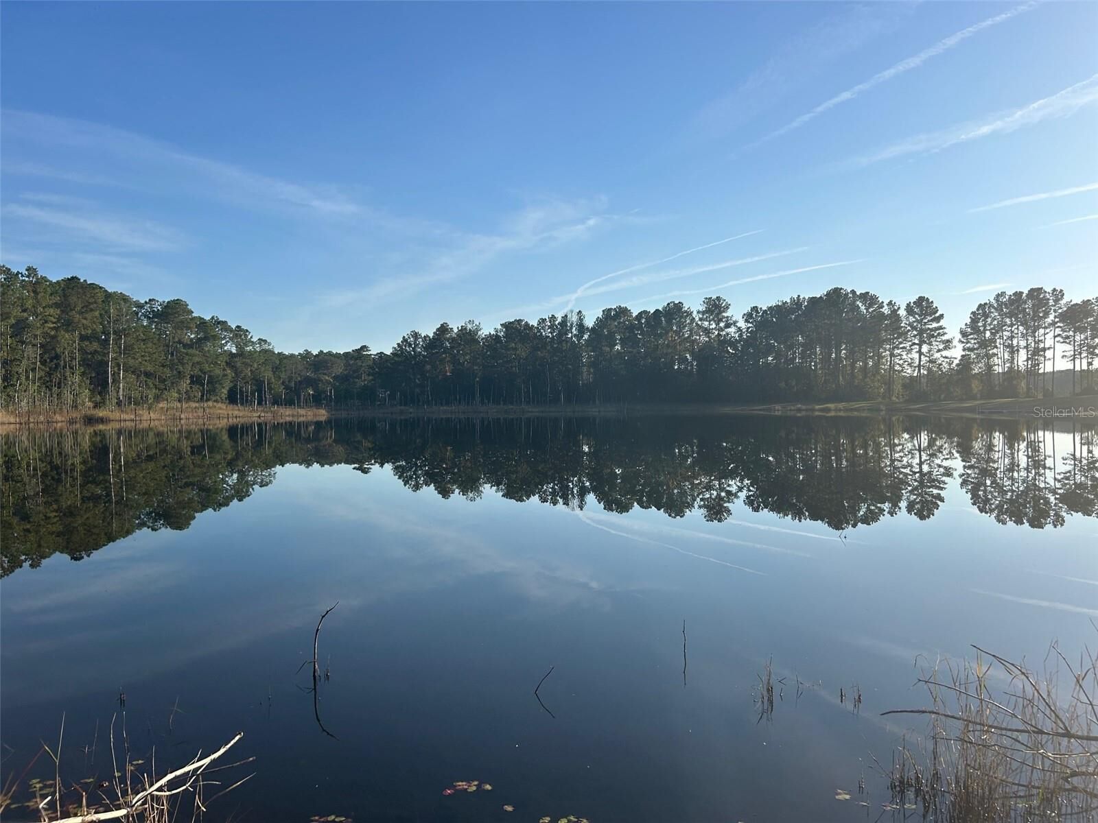 Property Photo: SE 49th Street Road FL 32183