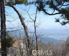 Property Photo:  42 Park Drive  CA 92382 