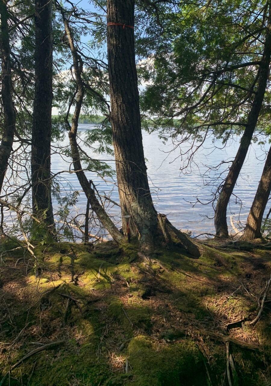 Property Photo: Lot#3 Crowe Lane ME 04668