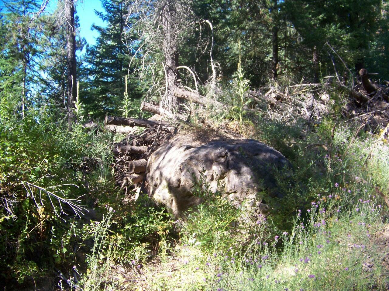 Property Photo: 4966 D Lyons Hill Rd WA 99173