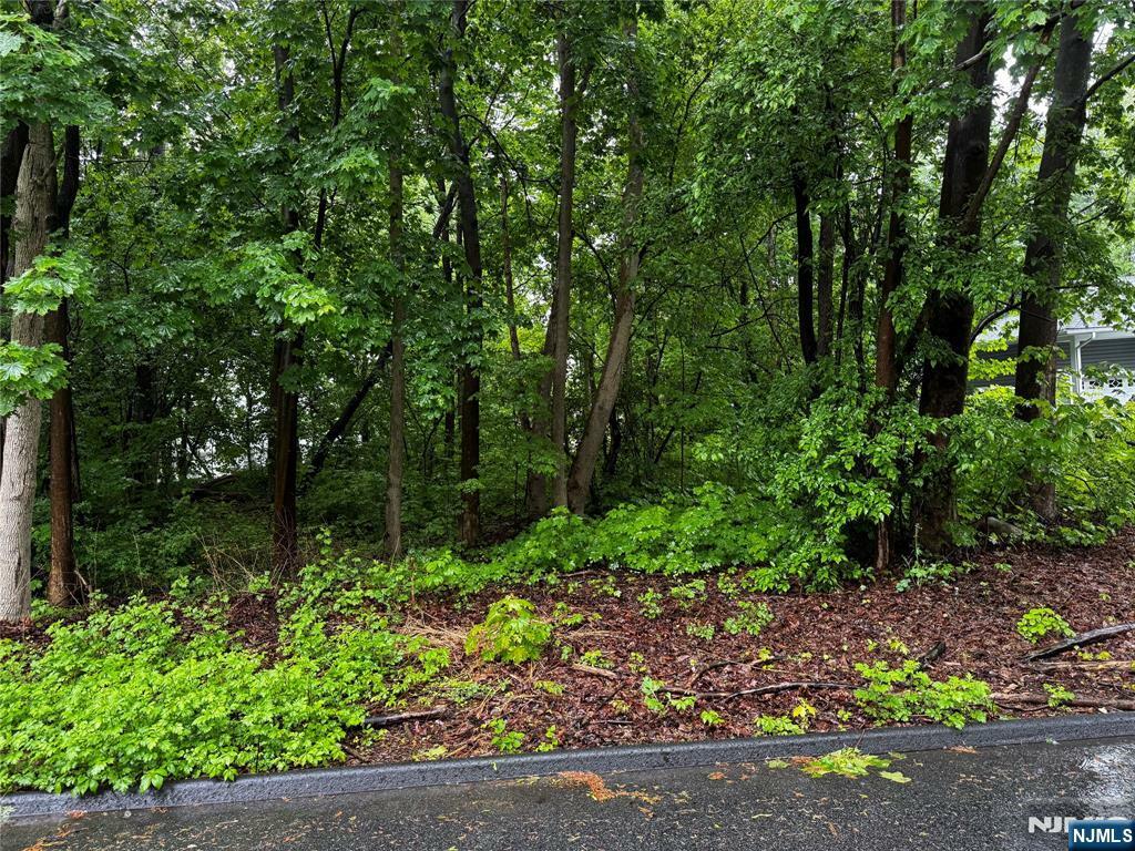 Property Photo: 0 Walnut Street NJ 07438