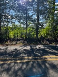 0 Firetower  Plain Dealing LA 71064 photo