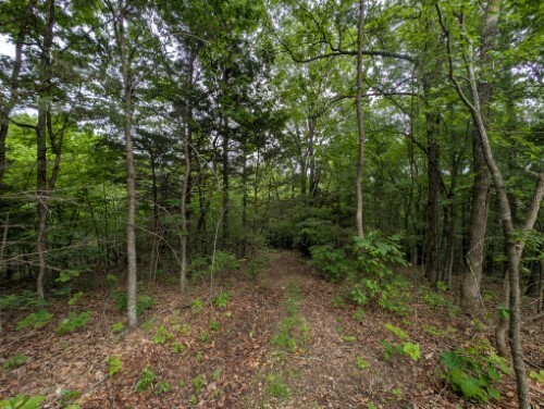 Sutton Place  Harrison AR 72601 photo