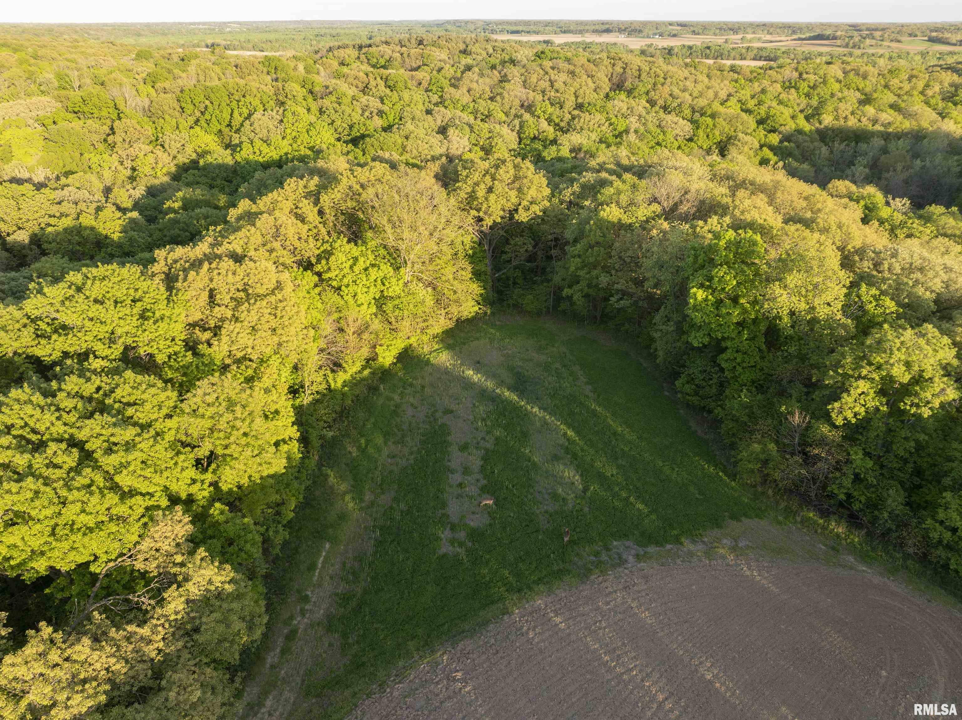 Property Photo: 0 Chambers Road IL 61477