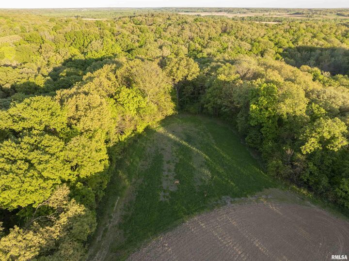 Property Photo:  0 Chambers Road  IL 61477 