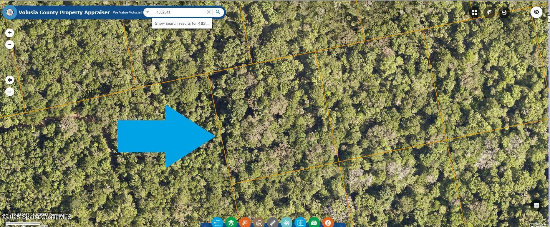 Property Photo: 0000 No Street Access FL 32759
