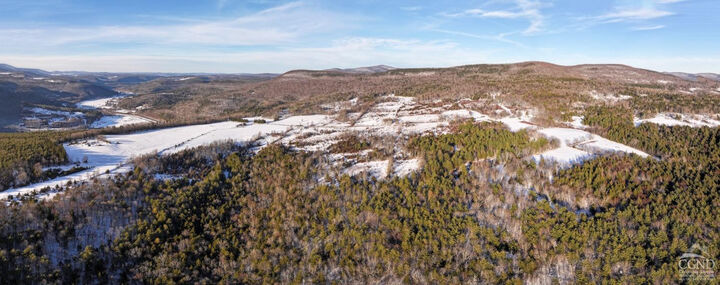 Property Photo:  6684 Route 23C  NY 12468 