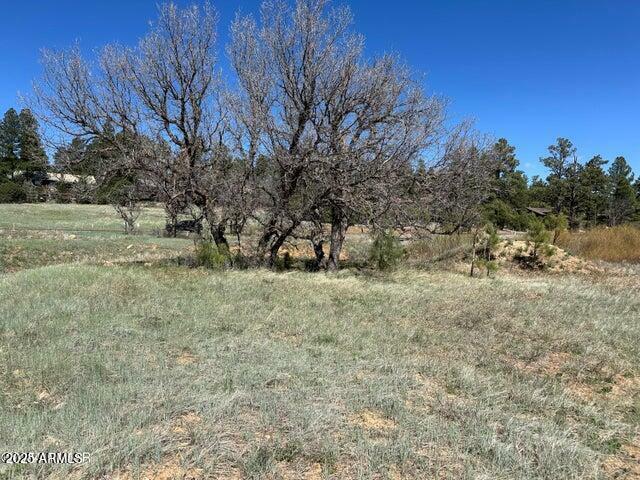 Property Photo:  1301 S Lakeside Trail  AZ 85901 