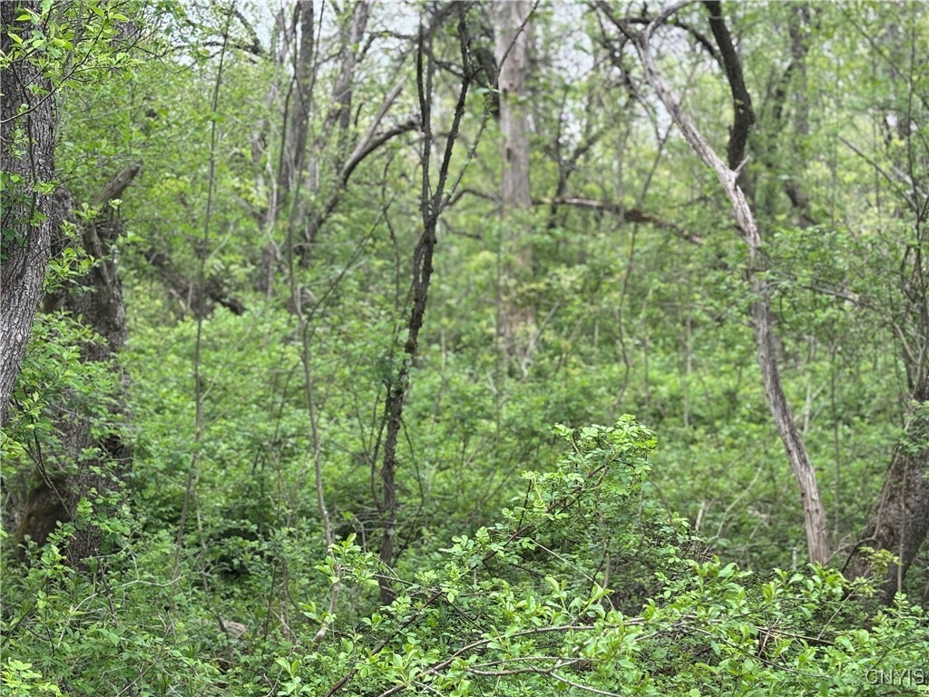 Property Photo: Sulphur Springs Rd Road NY 13416