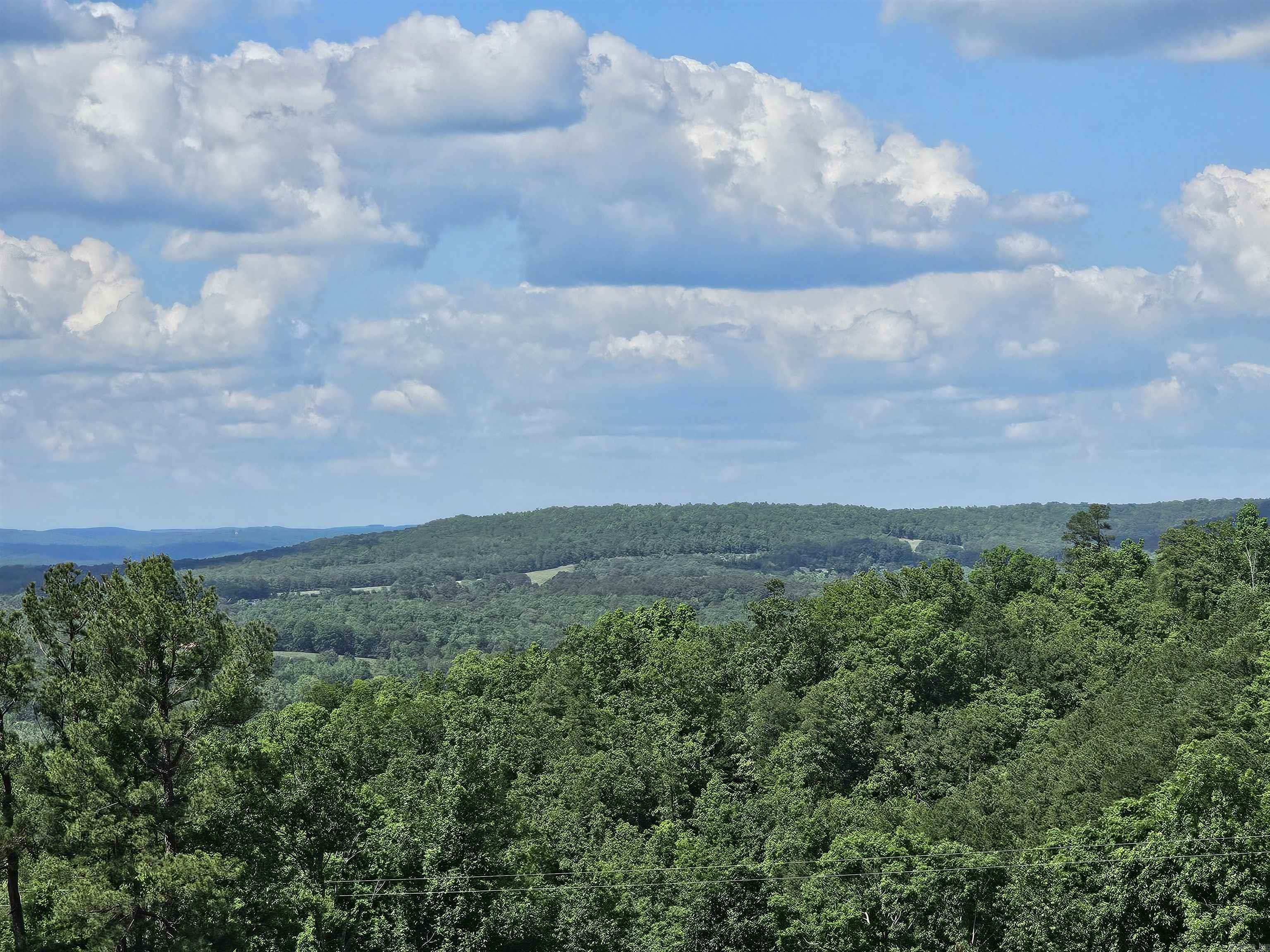 Property Photo: 0 Newton Rd AR 72031