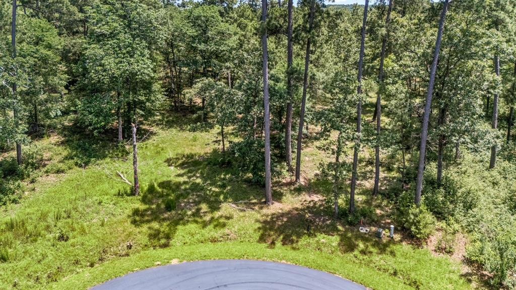 Property Photo: 4468 Sayde Ridge Drive TX 77316