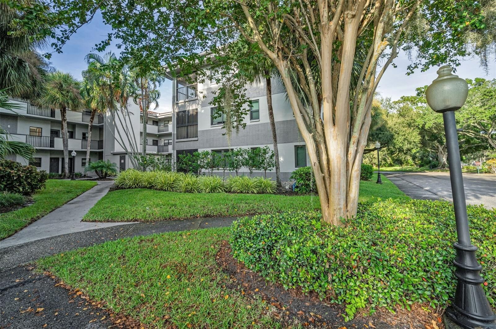 Property Photo:  2650 Countryside Boulevard C106  FL 33761 