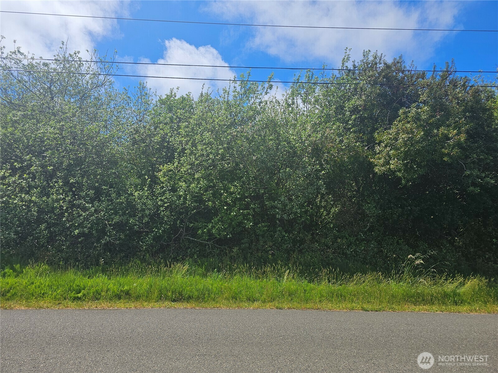 Property Photo: 811 Minard Avenue NW WA 98569