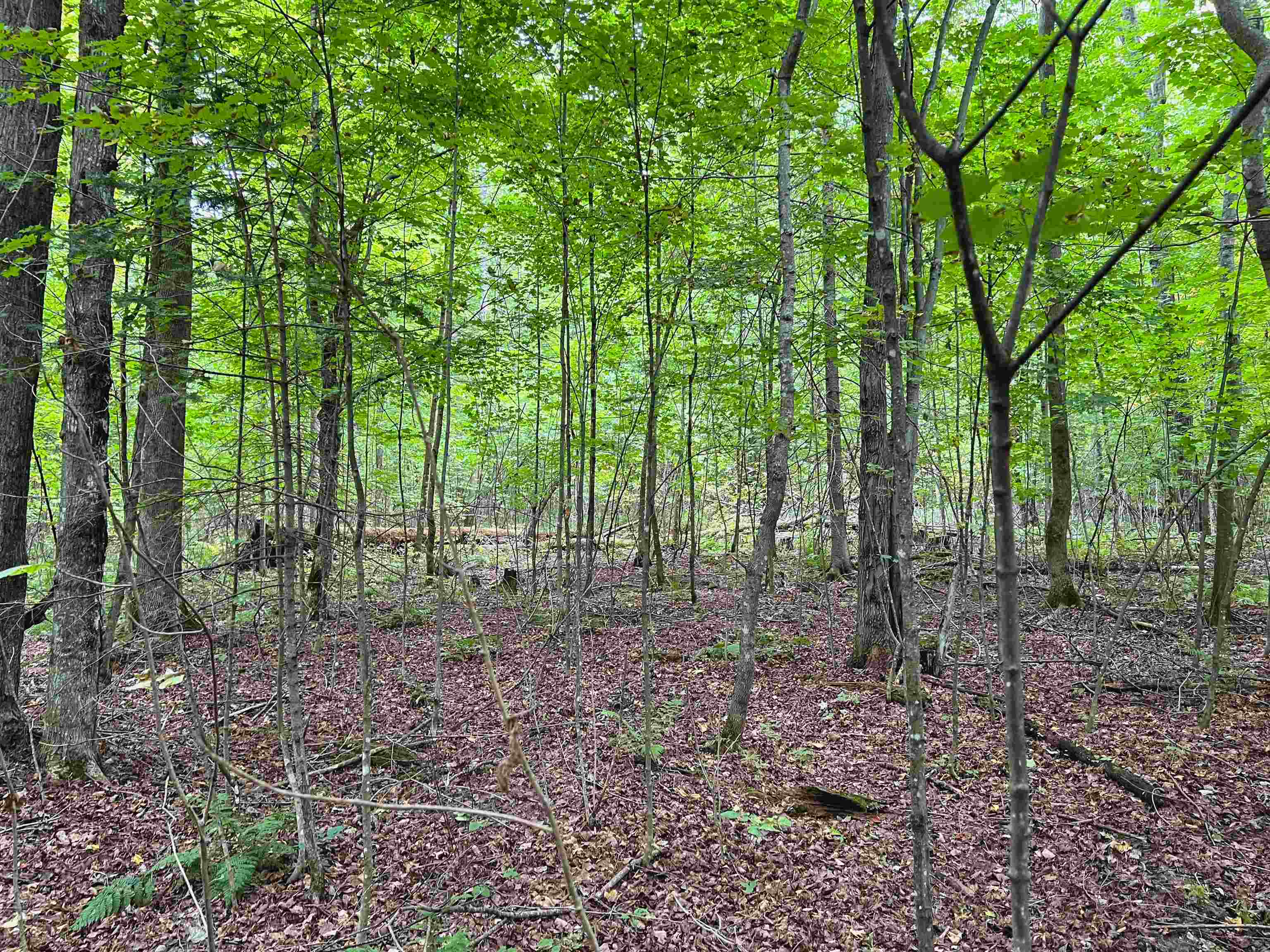 Property Photo: McCaslin Drive WI 54175