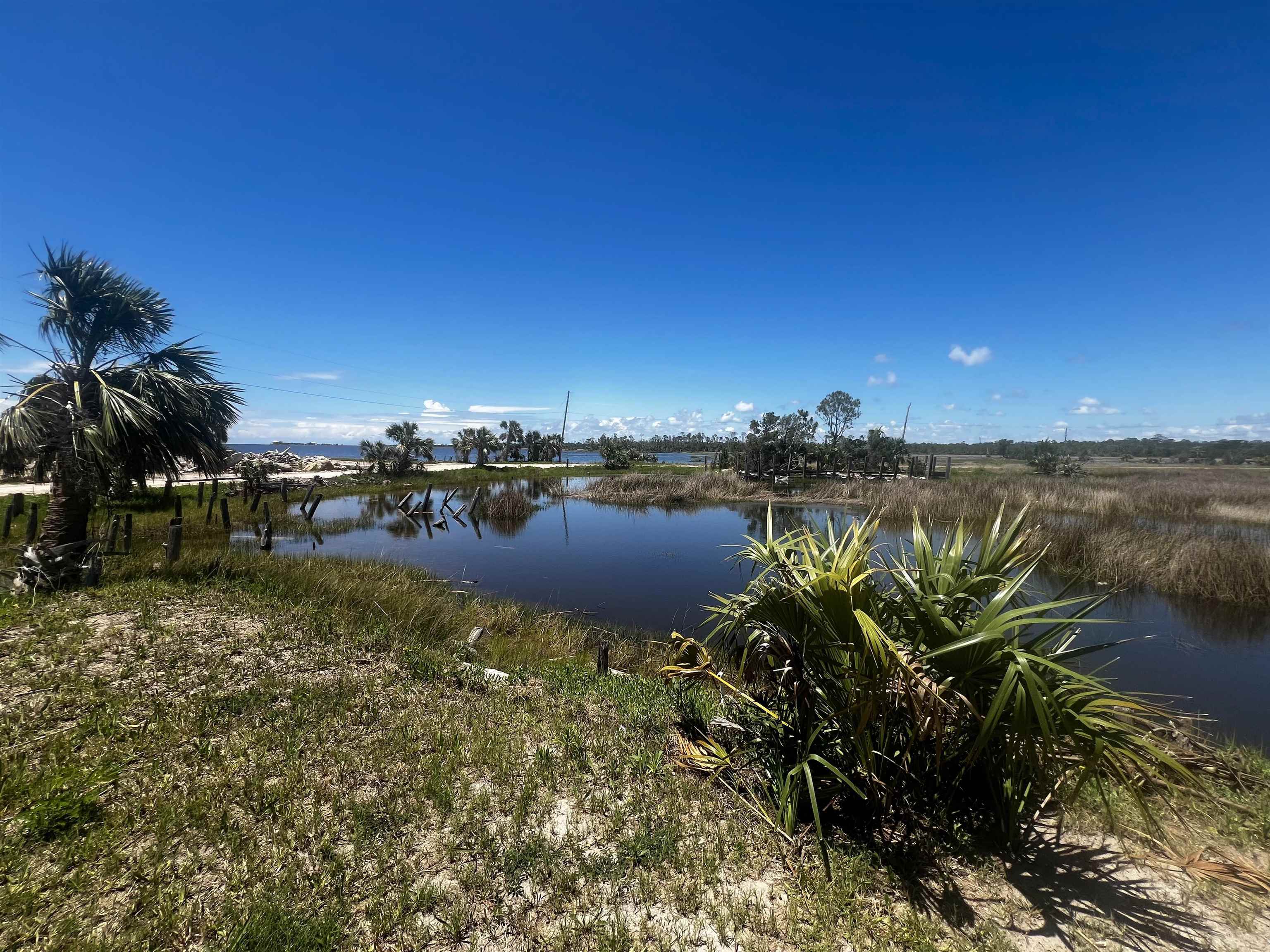 Property Photo:  1821 Ezell Beach Road  FL 32347-0000 