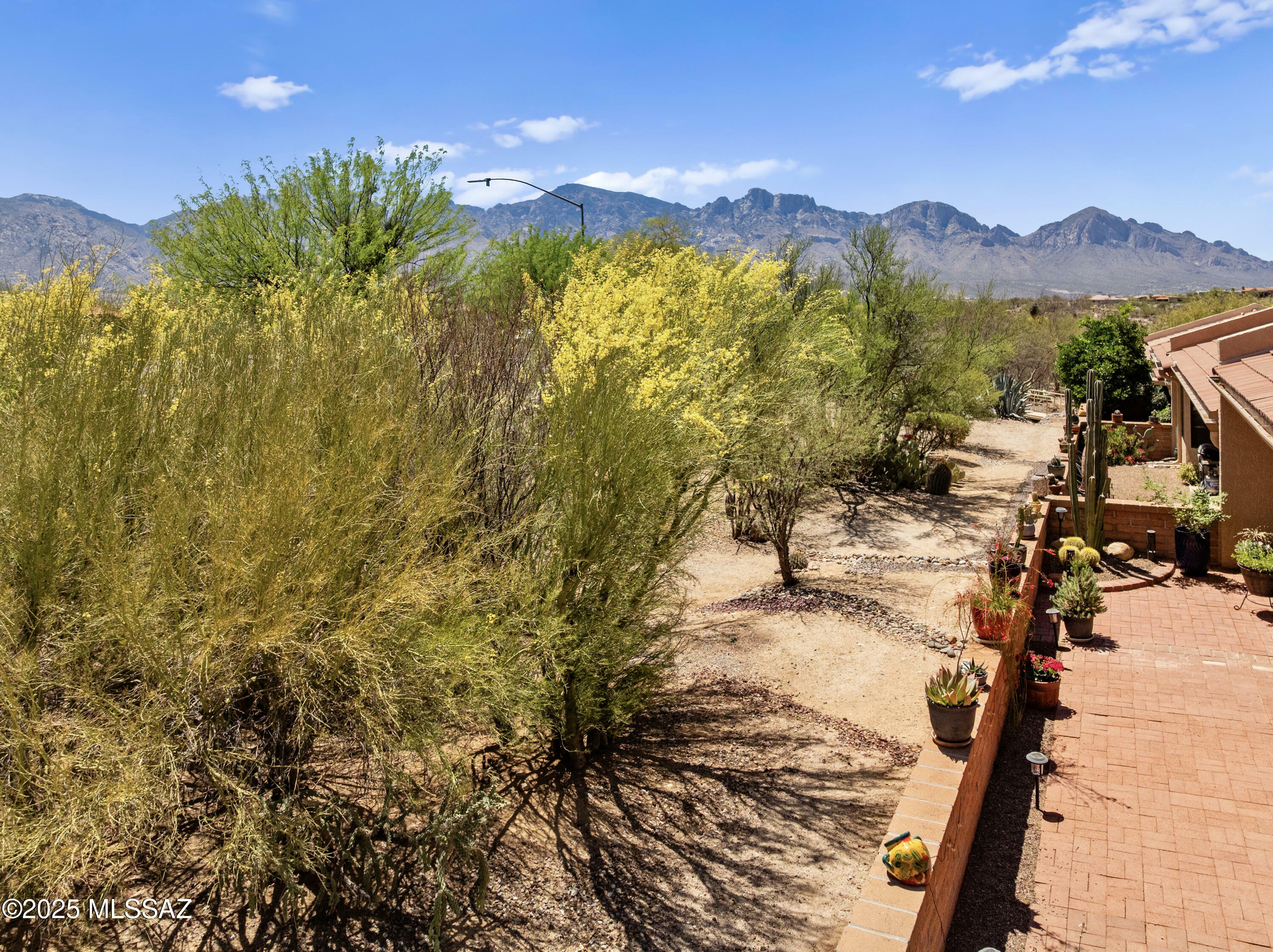 Property Photo: 14006 N Green Tree Drive AZ 85755