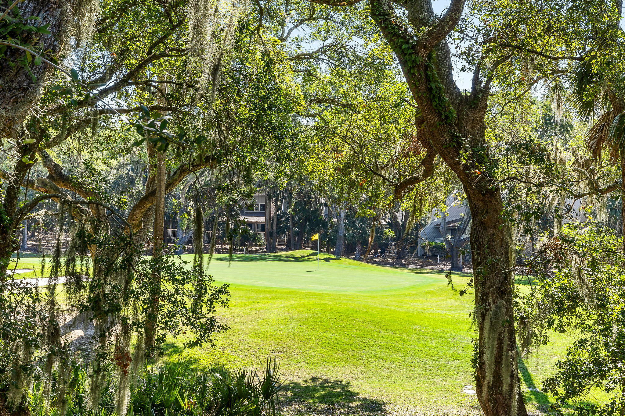 Property Photo: 153 High Hammock Villas SC 29455