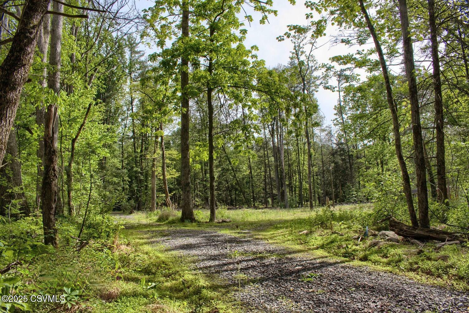 Property Photo: 82 Wild Turkey Lane PA 17835