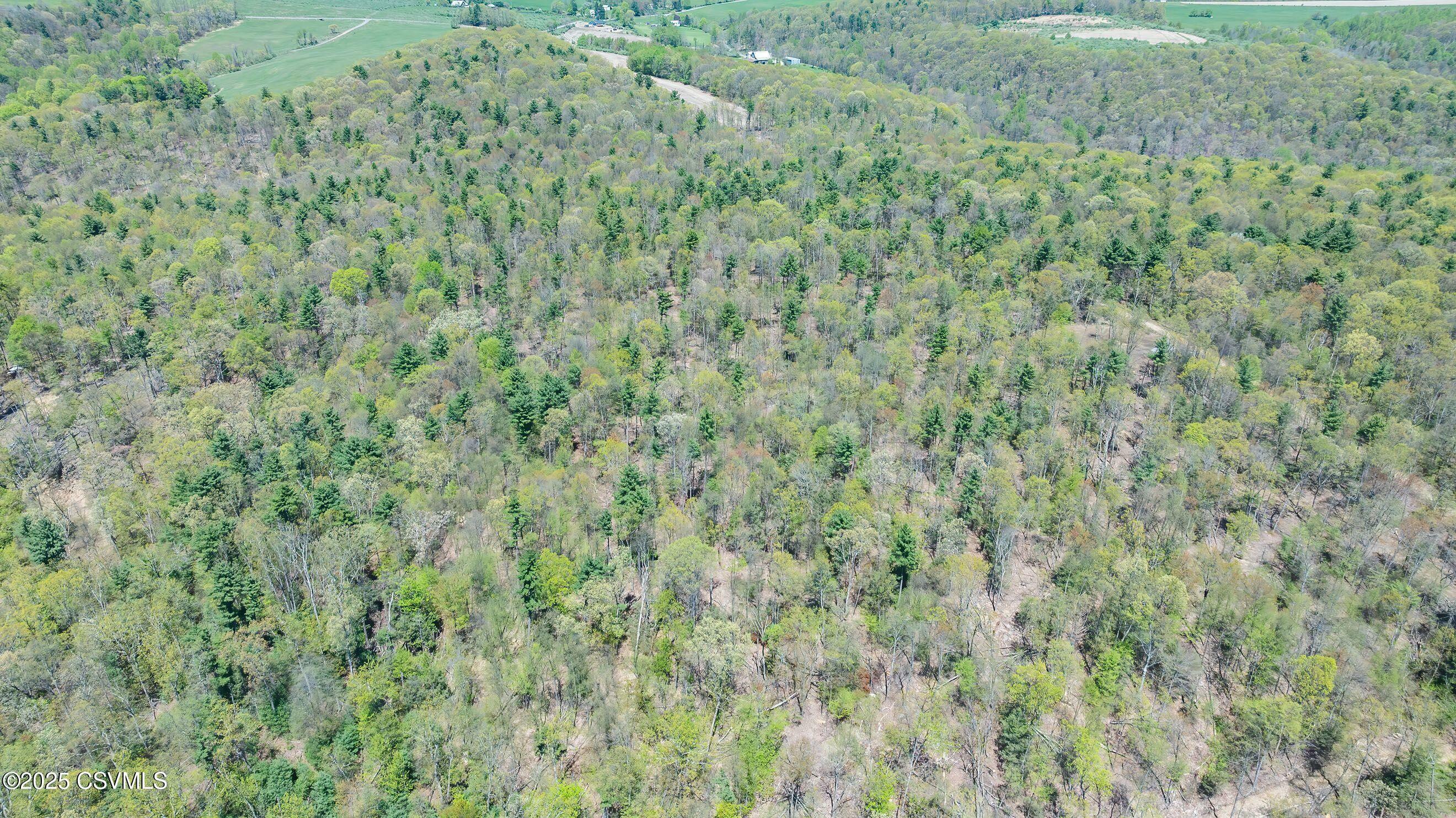 Property Photo: Lot 4 Patton Hill Road PA 17846
