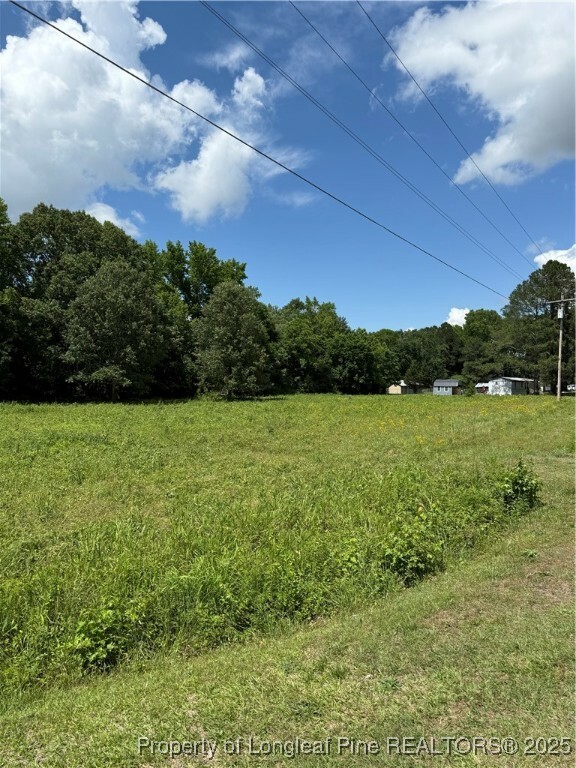 Property Photo: 0 Coleman Road NC 28312