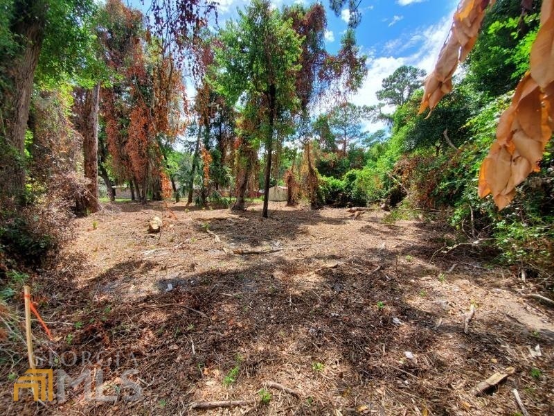 Property Photo: 805 Norris Street GA 31558