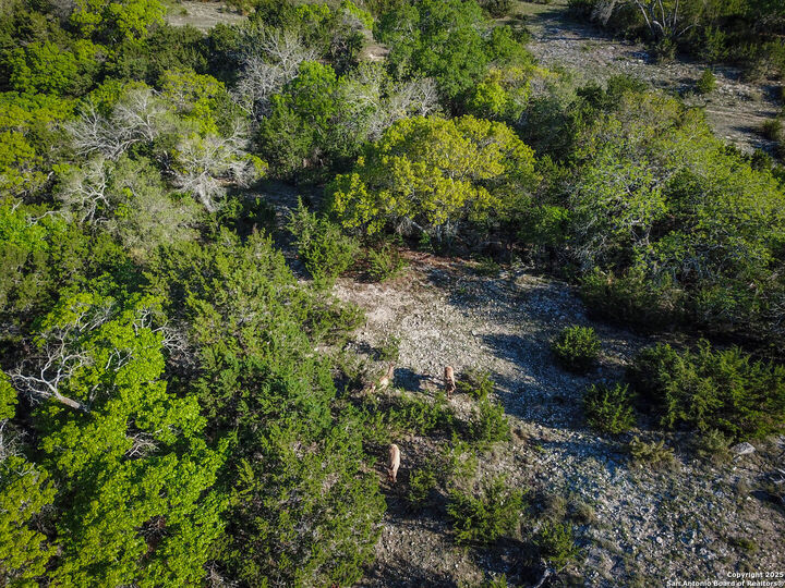 Property Photo: 000 Blackbuck Trail TX 78063